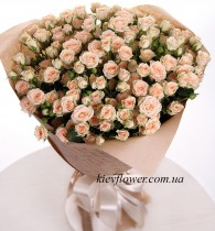 Bush rose 